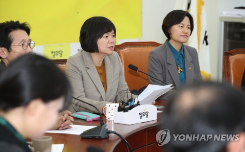 상무위원회 회의에서 발언하는 이정미 대표