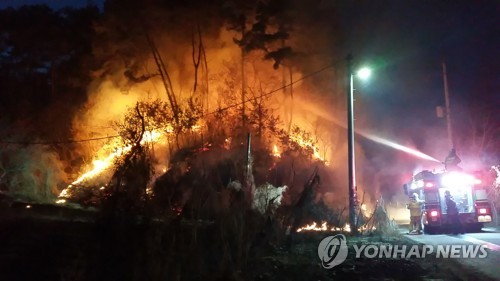 춘천 야산서 불…진화하는 소방대원들