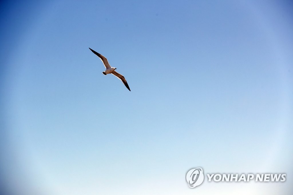 '파란 하늘이 좋아요'