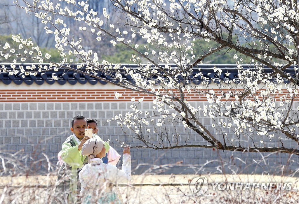 꽃에 취해 봄에 취해