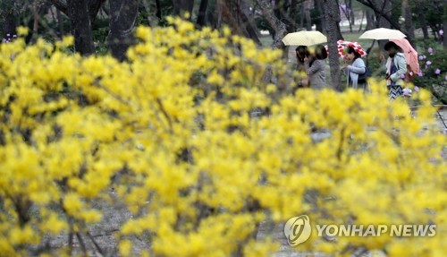 빗속 산책
