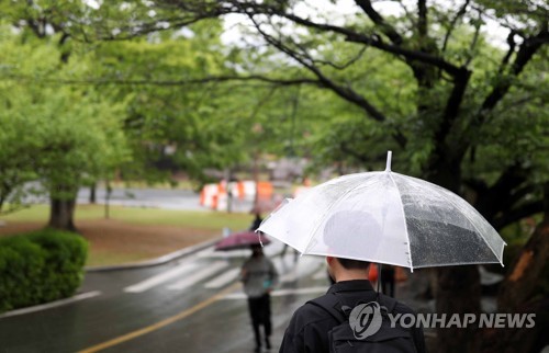 봄비가 내리고