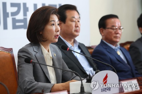 중진의원 회의 발언하는 나경원