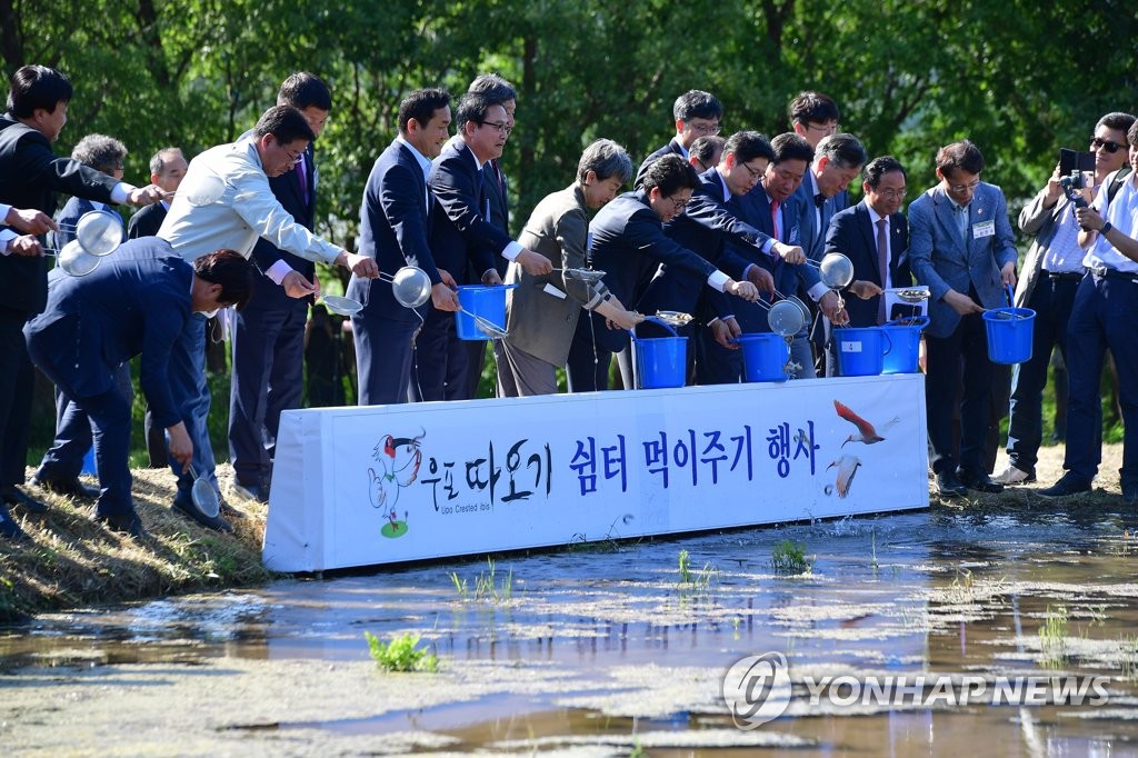 '우포늪 따오기를 위한 미꾸라지 방사'