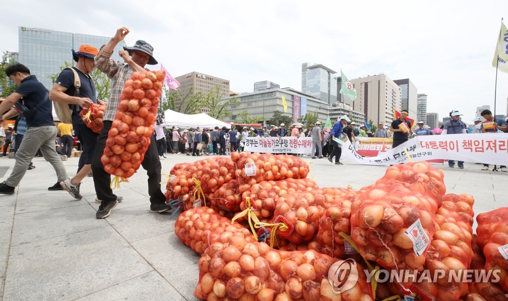 양파 내던지는 농민들