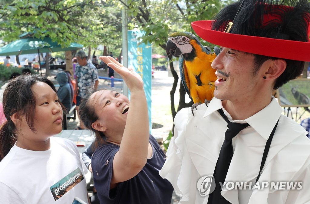 2019 양구 배꼽축제