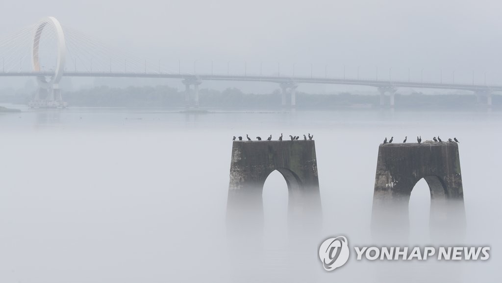 물안개가 그린 수묵화