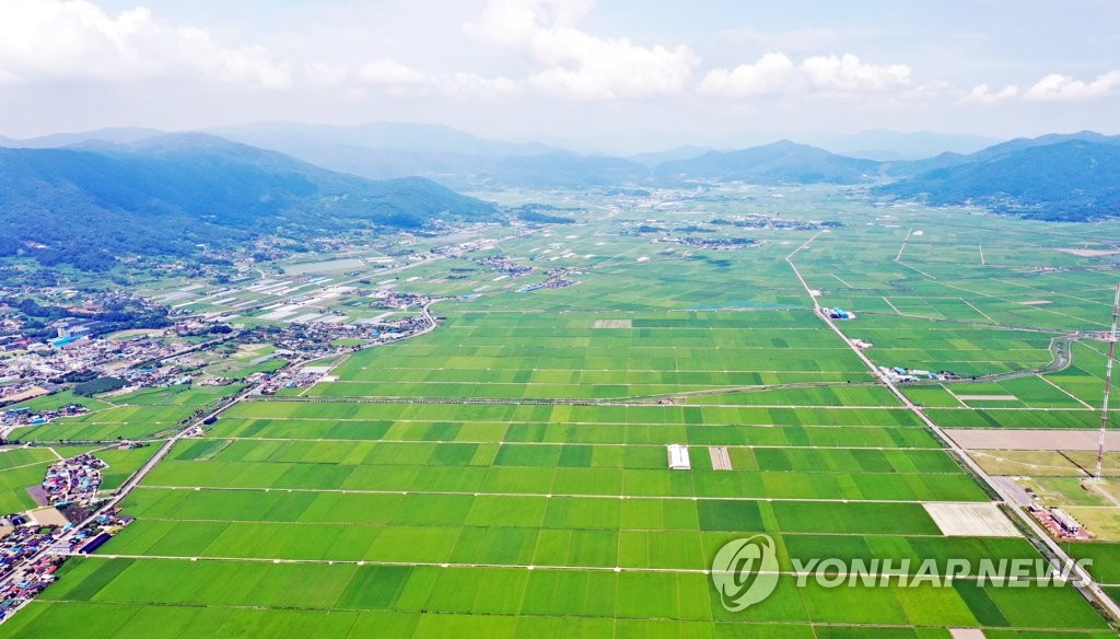 절정에 달한 여름의 색깔