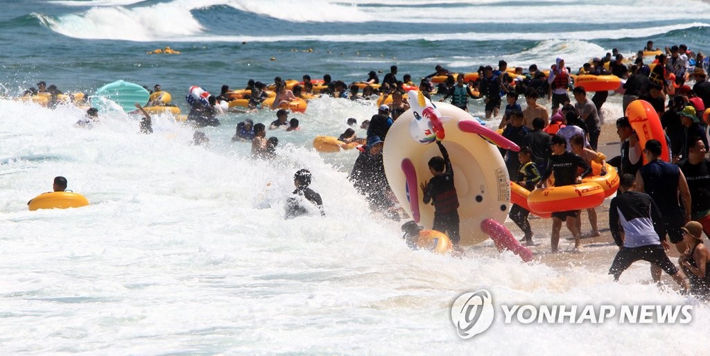 파도가 좋아