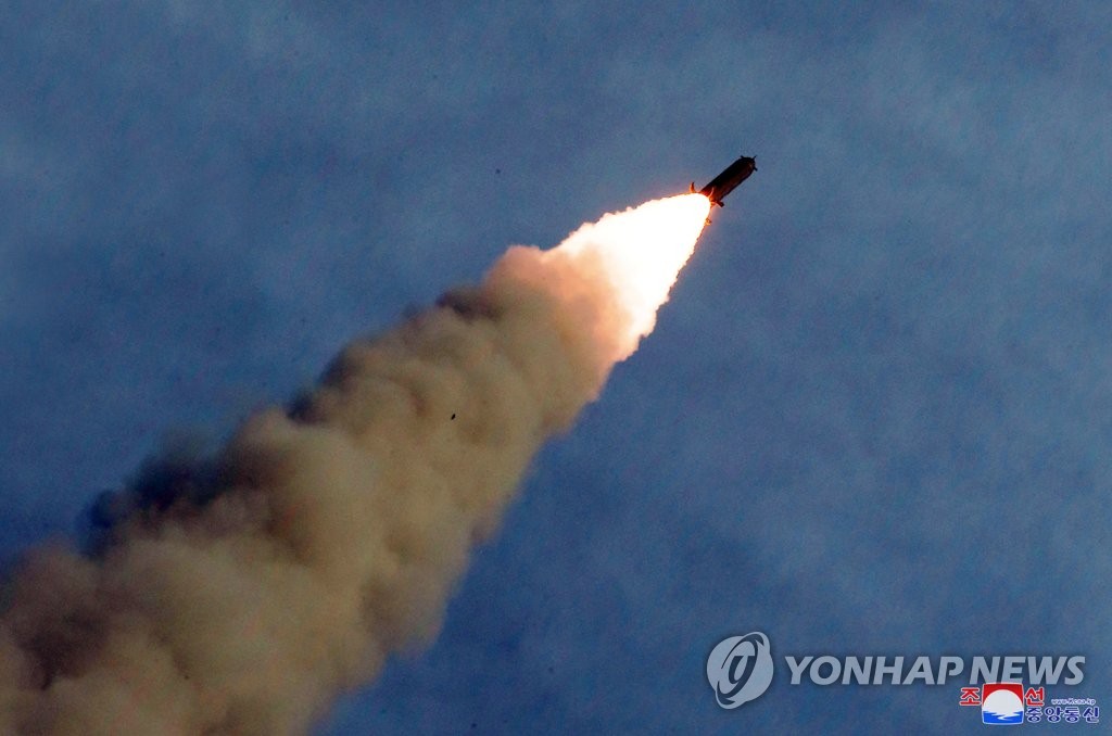 北朝鮮の「超大型ロケット砲」試射 北朝鮮の「超大型ロケット砲」試射