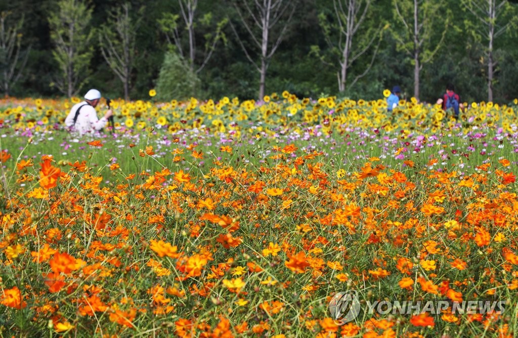 가을 풍경