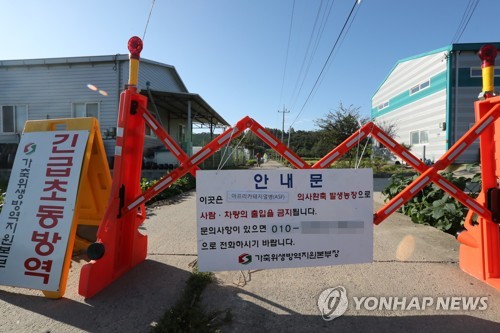 파주에서 국내 첫 아프리카돼지열병 발생