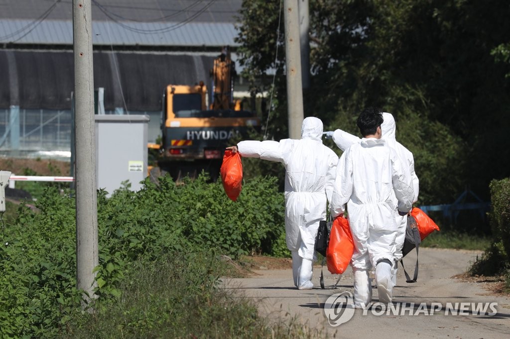 S. Korea hit by African swine fever S. Korea hit by African swine fever