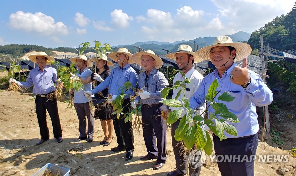 금산인삼축제서 인삼캐기 체험 중인 외국인 관광객들