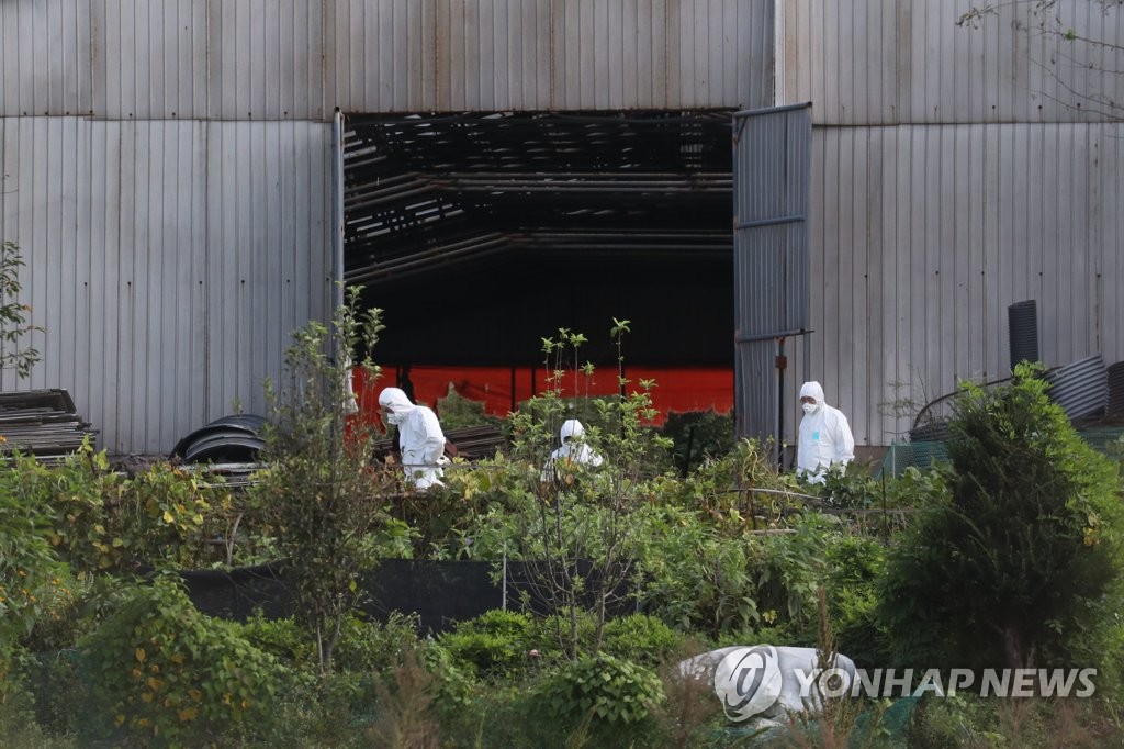 Quarantine officials inspect a pig farm in Paju, north of Seoul, on Oct. 3, 2019, as they carry out disinfection operations against African swine fever. (Yonhap)