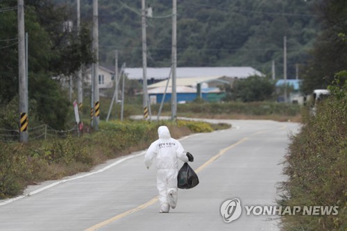 접경지 연천에서 다시 ASF 발생