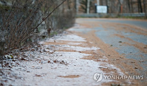 겨울의 시작