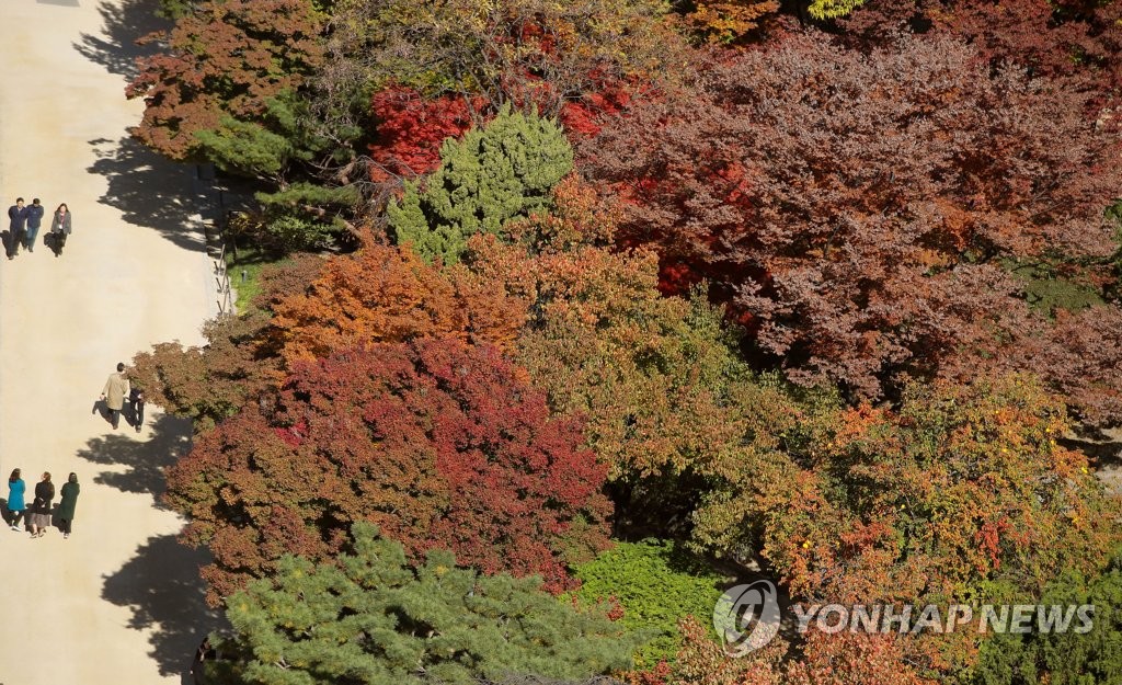 입동이 무색한 가을 정취