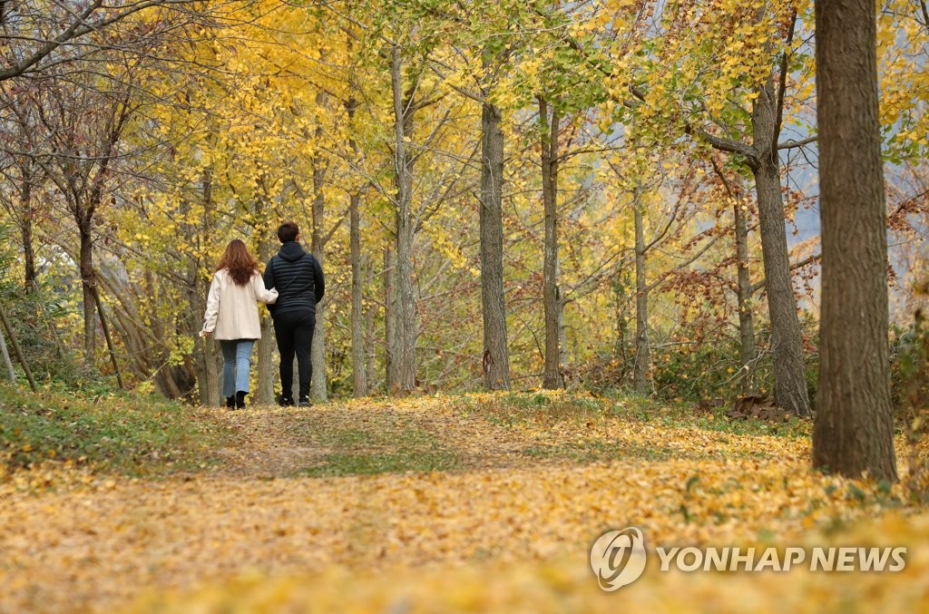 Into autumn colors Into autumn colors