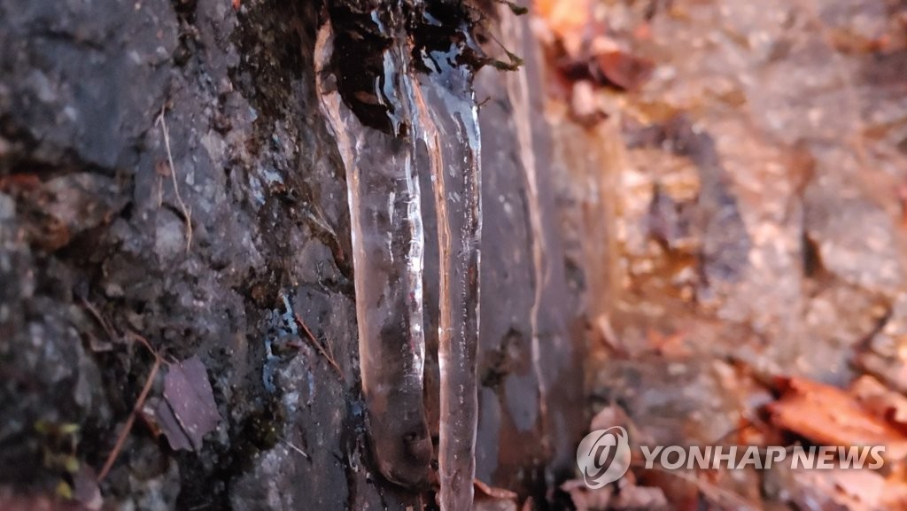 La ola de frío azota Corea del Sur La ola de frío azota Corea del Sur