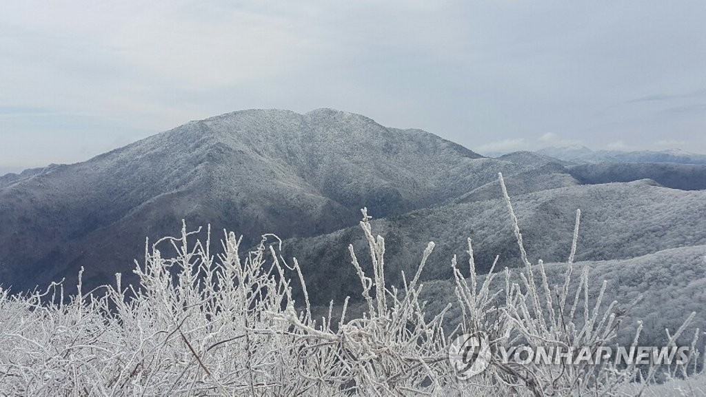올겨울 첫 서리꽃 피어난 지리산 노고단