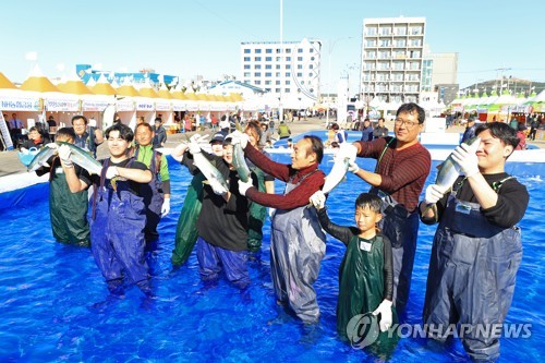'모슬포 방어축제 개막이오'