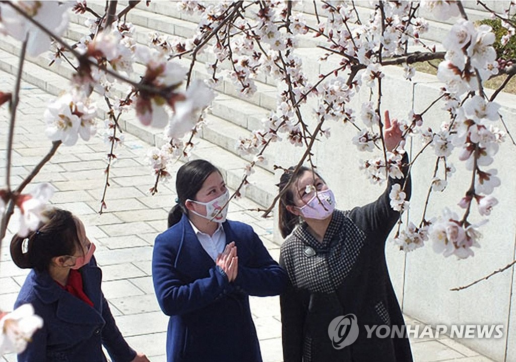 '마스크는 썼지만…봄꽃에 설레는 북한 소녀들'