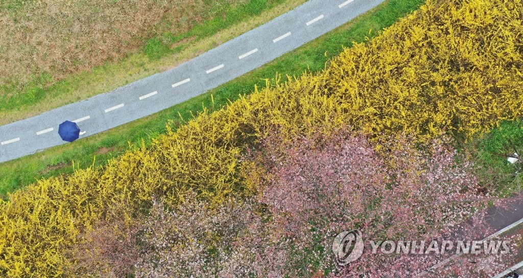 잊혀진 봄, 그래도 꽃은 피었다