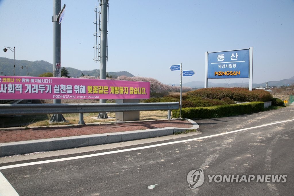 "코로나19로 벚꽃길 개방 안합니다"