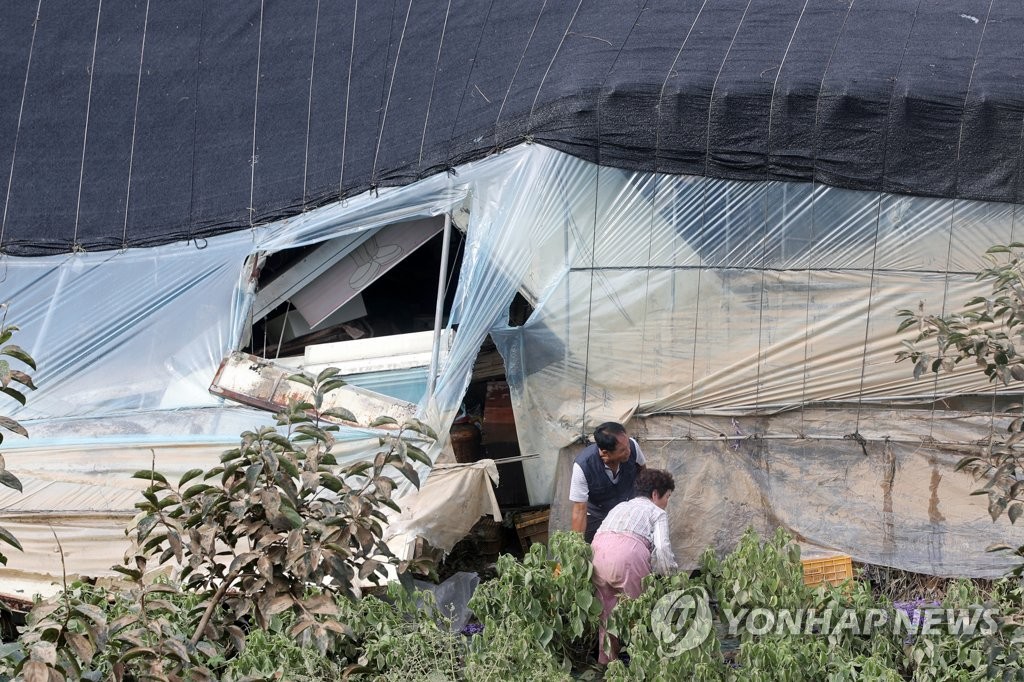 무너진 비닐하우스에 애타는 농심