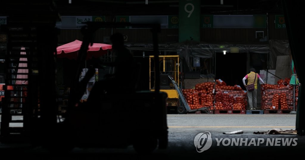 긴 장마에 채소 가격 '들썩'