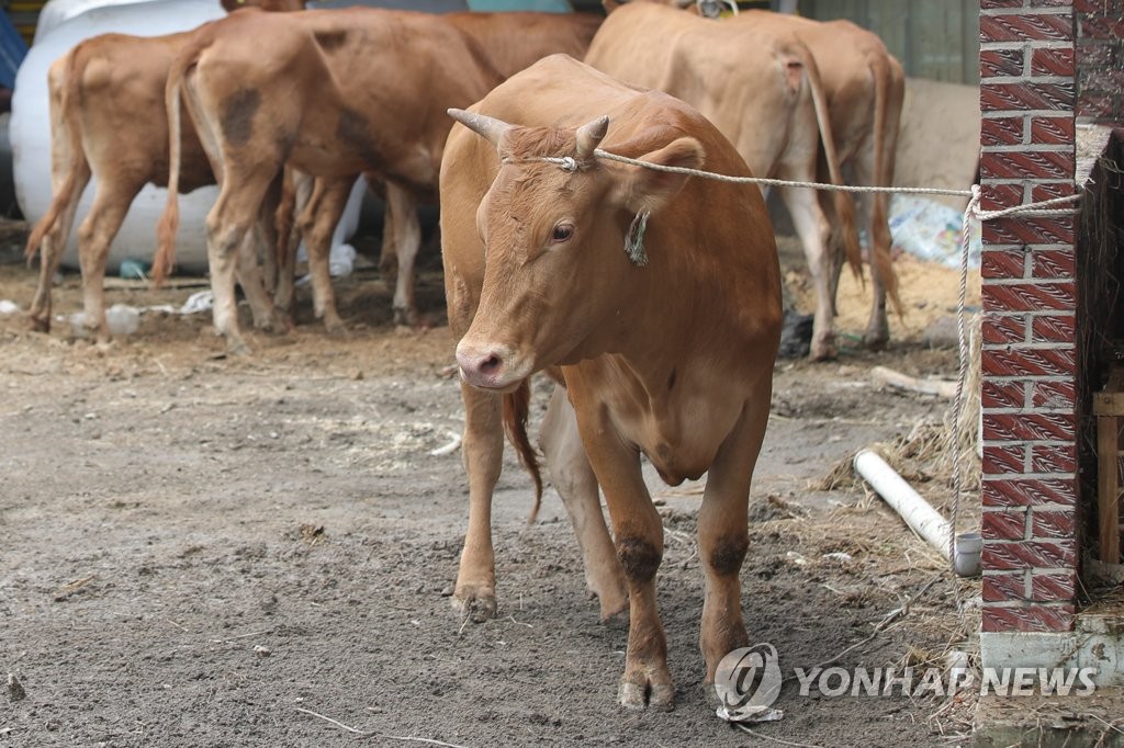 "주인은 언제 오려나"