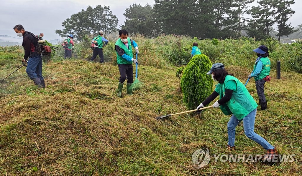 추석 앞두고 태안서 공동묘지 벌초