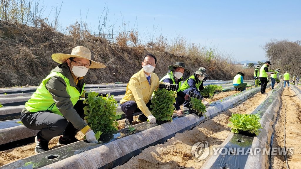 농협경제연구소, 충북 음성군 농촌현장에서 일손돕기