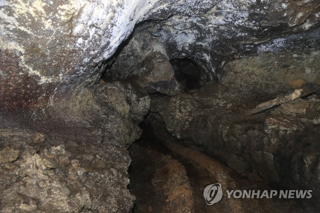 '사람 얼굴인가?'