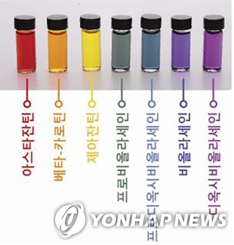 KAIST, 일곱 빛깔 천연 색소 만드는 미생물 균주 개발