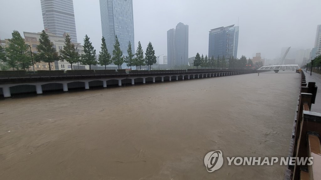 집중호우로 부산 동천 수위 상승