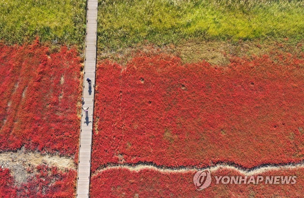 가을빛으로 물든 갯벌