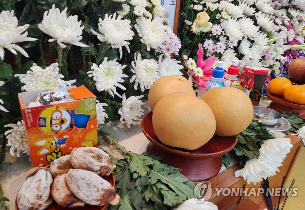멍투성이로 숨진 초등생 빈소
