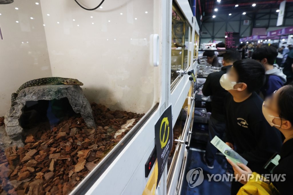 희귀반려동물이 궁금해