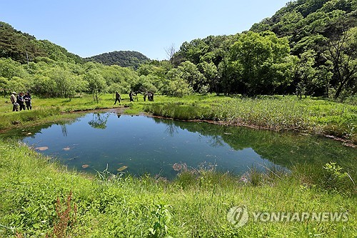 Pyeongdume wetland placed on Ramsar list