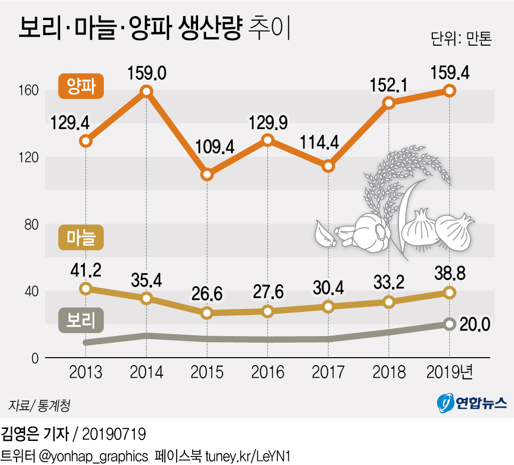 '반갑지 않은 풍년'…올해 양파 생산량 159만t 역대 최다 - 1