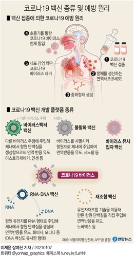 [그래픽] 코로나19 백신 종류 및 예방 원리
