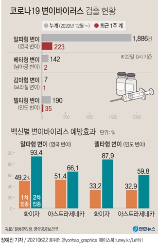 [그래픽] 코로나19 변이바이러스 검출 현황 및 백신별 예방효과