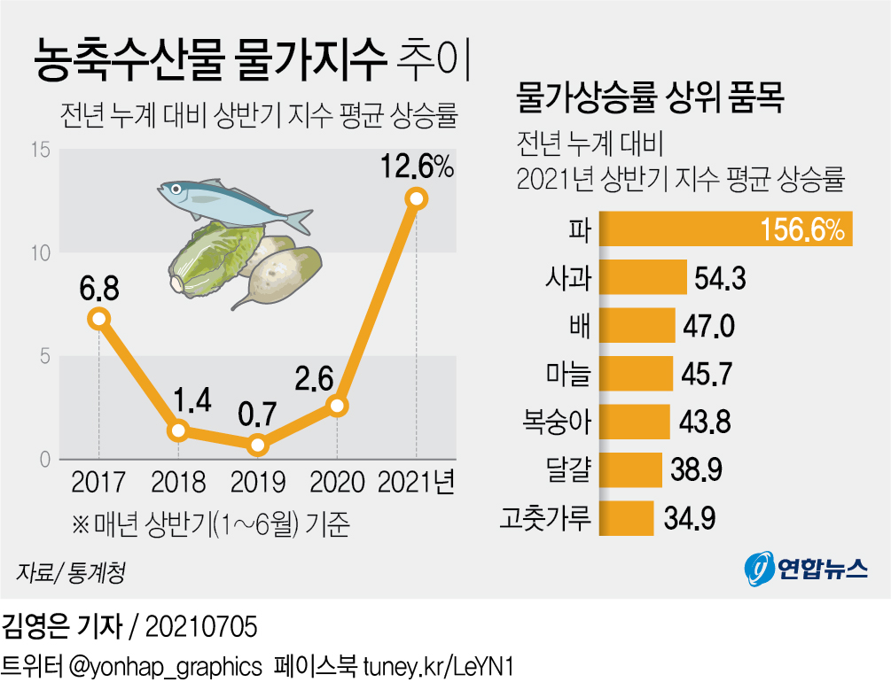 상반기 농축수산물 물가 30년來 최고…금파·금사과·금달걀 | 연합뉴스