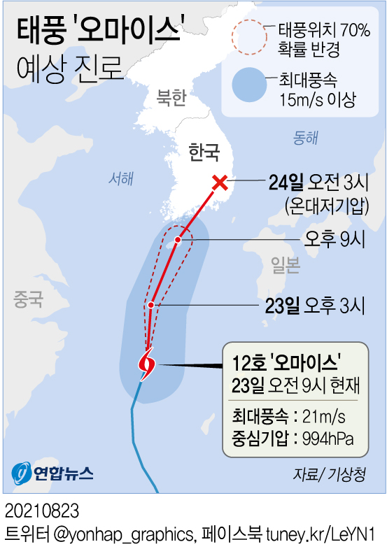 乾燥台地（韓国語） Amazon.co.jp: ニュータッチ 名古屋発 台湾まぜそば 132g×12個