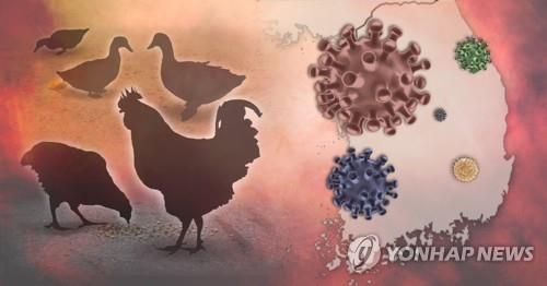 كوريا الجنوبية تبلغ عن الاشتباه في إصابة جديدة بإنفلونزا الطيور شديدة الإمراض
