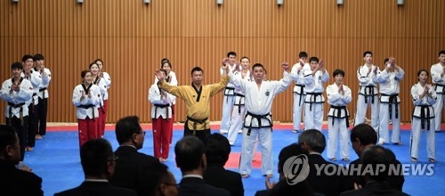 2月12日下午2点，在首尔市政府多功能厅，韩朝跆拳道示范团联演中携手问候观众。（韩联社/联合采访团提供）