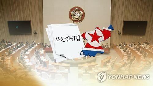 NK human rights law can apply to N. Koreans staying in 3rd countries: official - 1