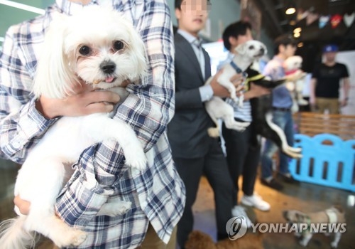 This undated file photo shows pet owners and their pets taking part in a festival about pets. (Yonhap)